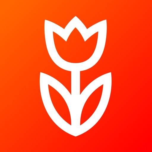 Flowwow: flowers & gifts shop app icon