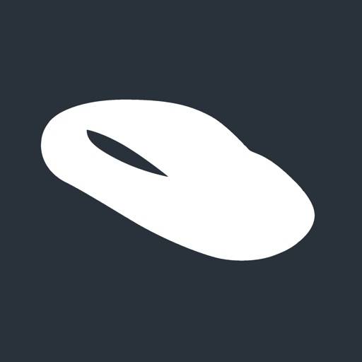Key for Tesla app icon