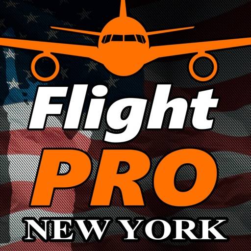 Pro Flight Simulator NY 4K icône