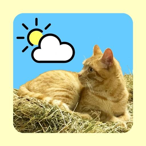 elimina WeatherCatRCP