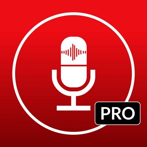 Voice Recorder & Audio Memo plus icon