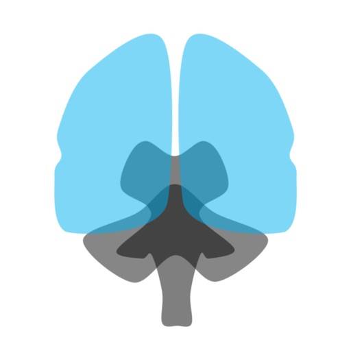 3D解剖学アトラス：iRis ikon