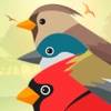 PRO Birds Complaints icon