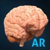 AnatomyAR plus for Merge Cube app icon