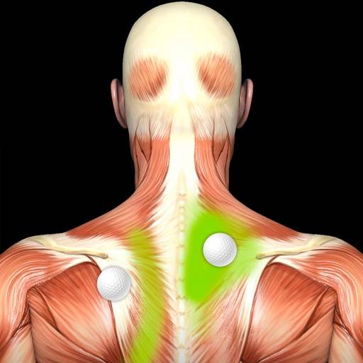 Muscle Trigger Points: Guide & Reference icon