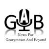 Gab News icon
