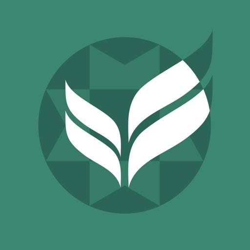 Аптека 24farmacia.ru icon