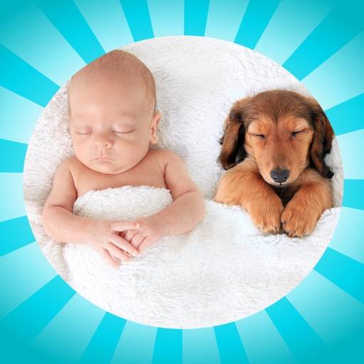 ta bort Baby Animal Wheel