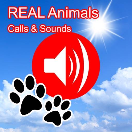 2000 plus Animal Sounds Calls icon