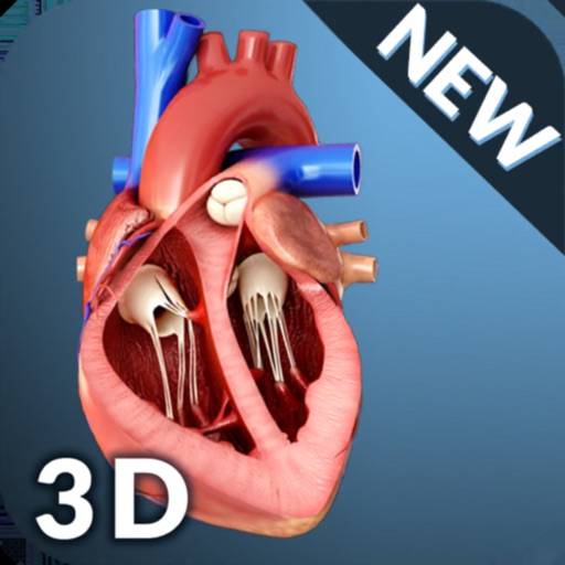 My Heart Anatomy app icon