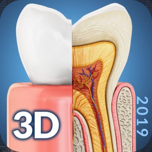 My Dental Anatomy app icon