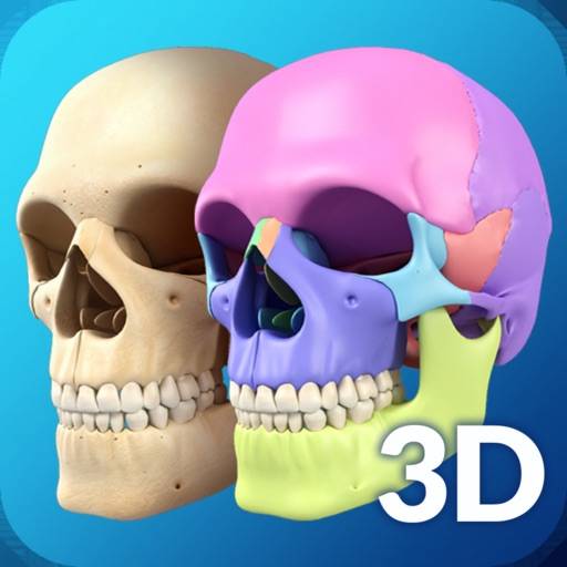My Skull Anatomy app icon