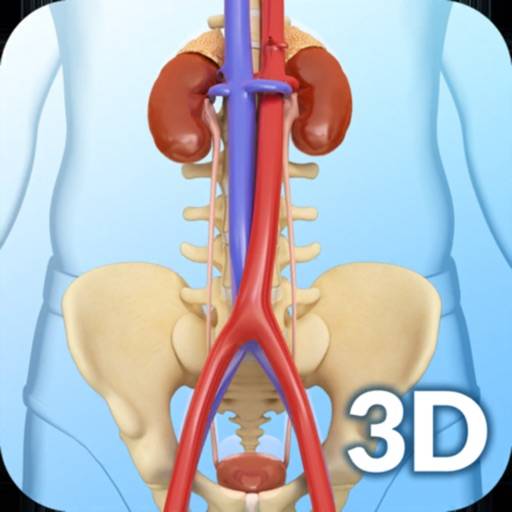 Urinary System app icon