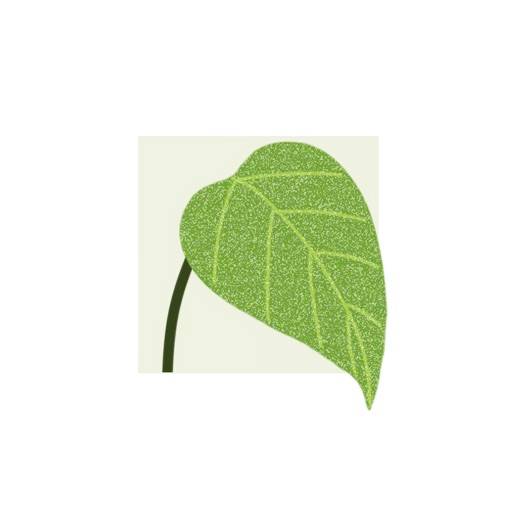 supprimer Jardin d’intimité