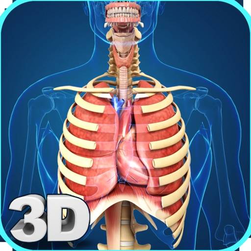 My Respiratory System Anatomy icon