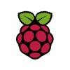 Raspberry Pi. Symbol