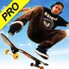 Skateboard Party 3: Pro icon