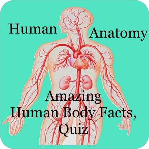 Amazing Human Body Facts, Quiz icon