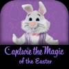 Catch the Easter Bunny app icon