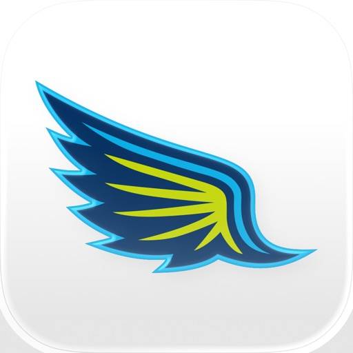 Dallas Wings icon