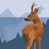 App Caccia-Apprendimento icon