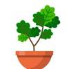 Terrarium: Garden Idle app icon
