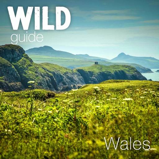 Wild Guide Wales app icon