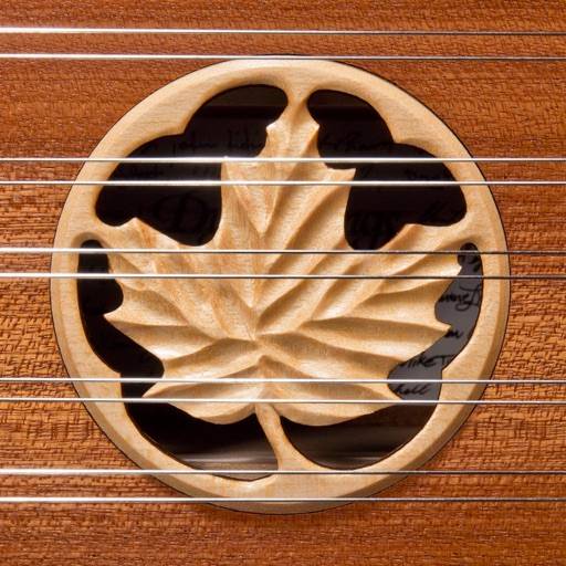 ta bort Dusty Strings 16/15 Dulcimer