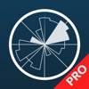 Windy Pro: marine weather app icône