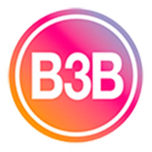 B3B Woman Studio icon