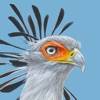 Roberts Bird Guide 2 app icon