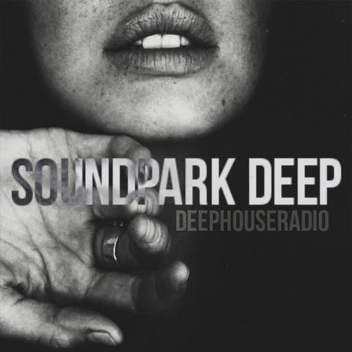 Soundpark #deep icon