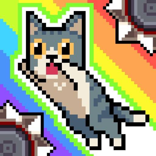 Cat Jump app icon