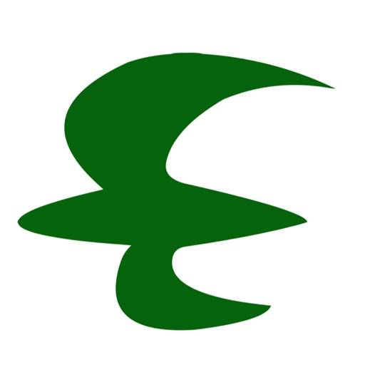 Iraqi Airways icon