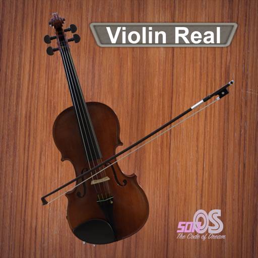 Violin Real simge