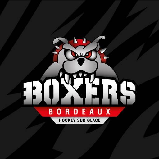 Boxers de Bordeaux icon