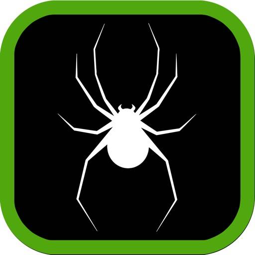 Spiders Guide for Watch icon