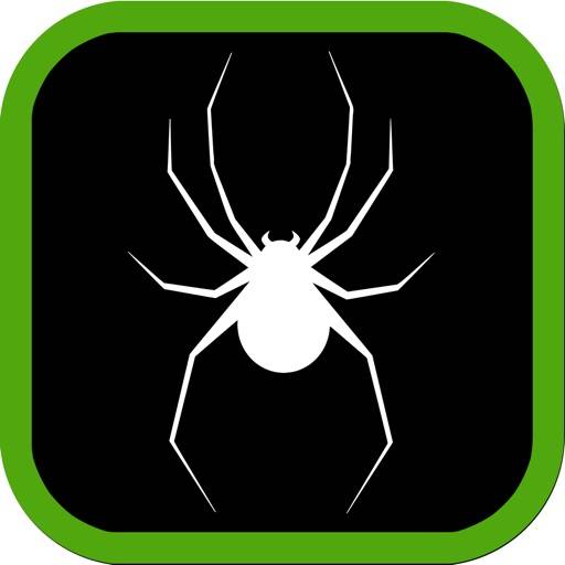 eliminar Spiders Guide for Watch