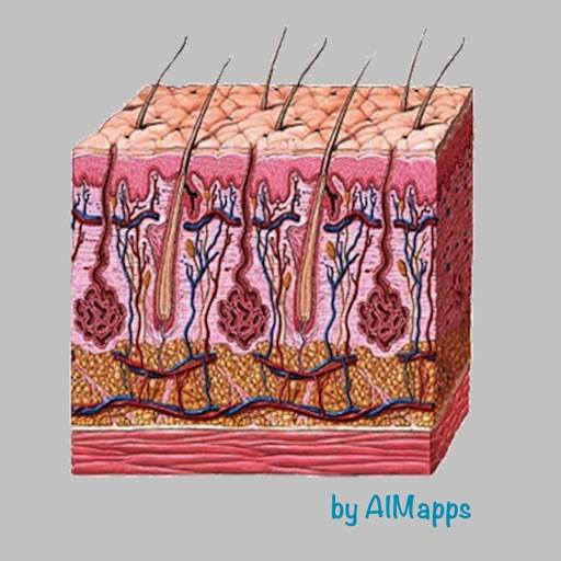 Dermatology (AIMapps) icono