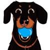 CrusoeMoji - Dachshund sticker icon