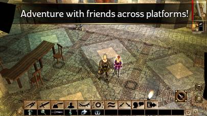 neverwinter nights help other player