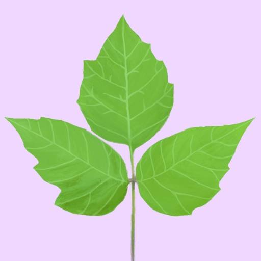 Poison Ivy icon