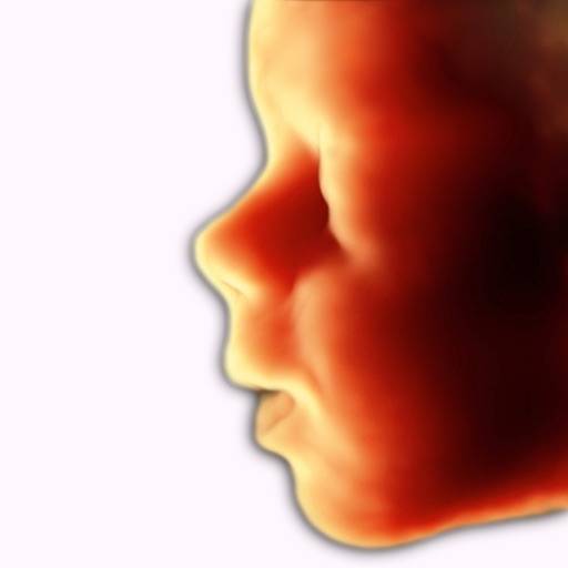 ScanBaby Ecografia del bambino app icon