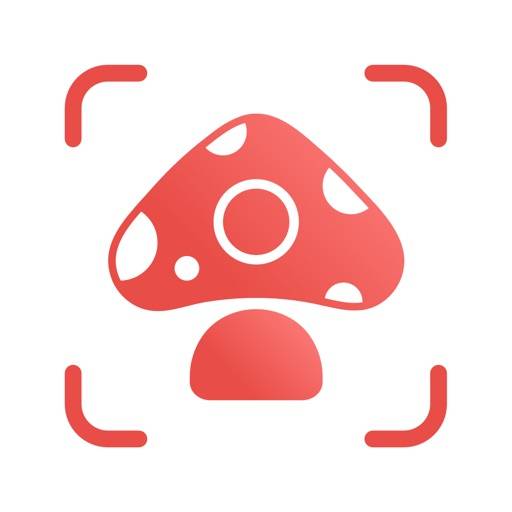 Picture Mushroom: Identifier app icon