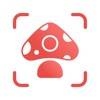 Picture Mushroom app icon