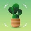 NatureID: Plant Identification icona