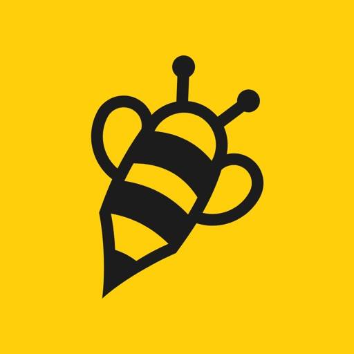 StudyBee Mobile app icon