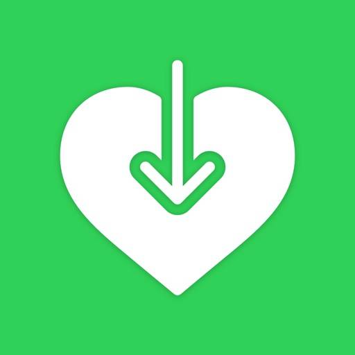 Health Export CSV app icon