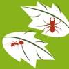 Plant diseases and pests app icon
