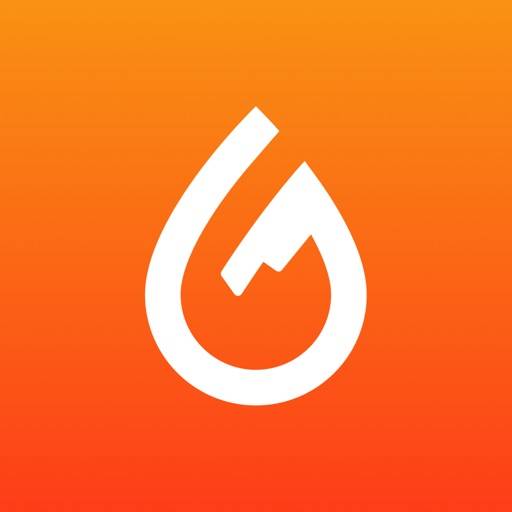 Bränsleappen icon